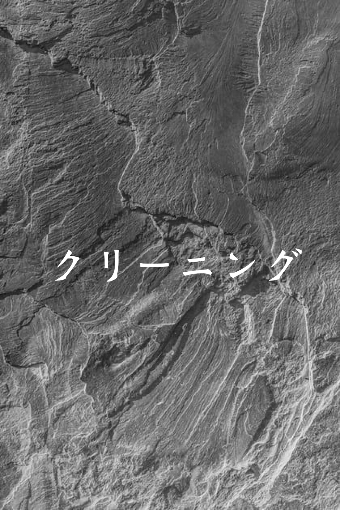 信楽寺境内　クリーニング